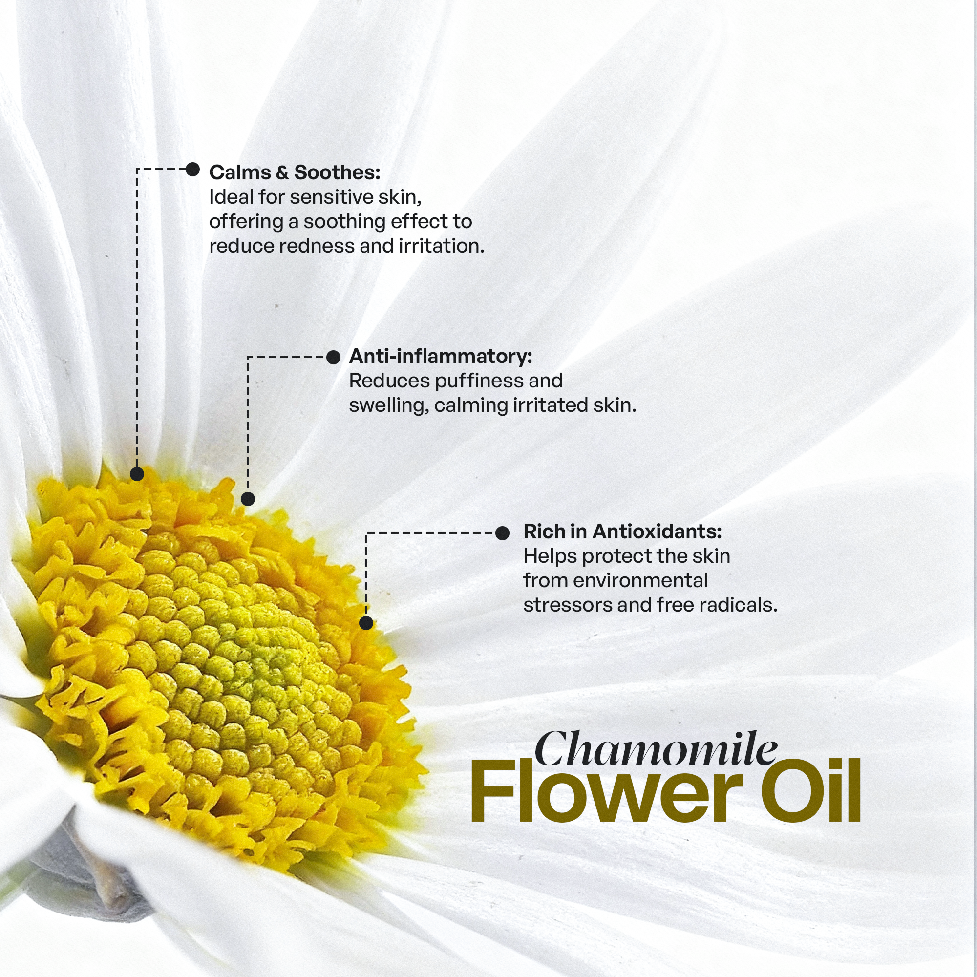 Manuka Honey Chamomile Tallow Body Balm