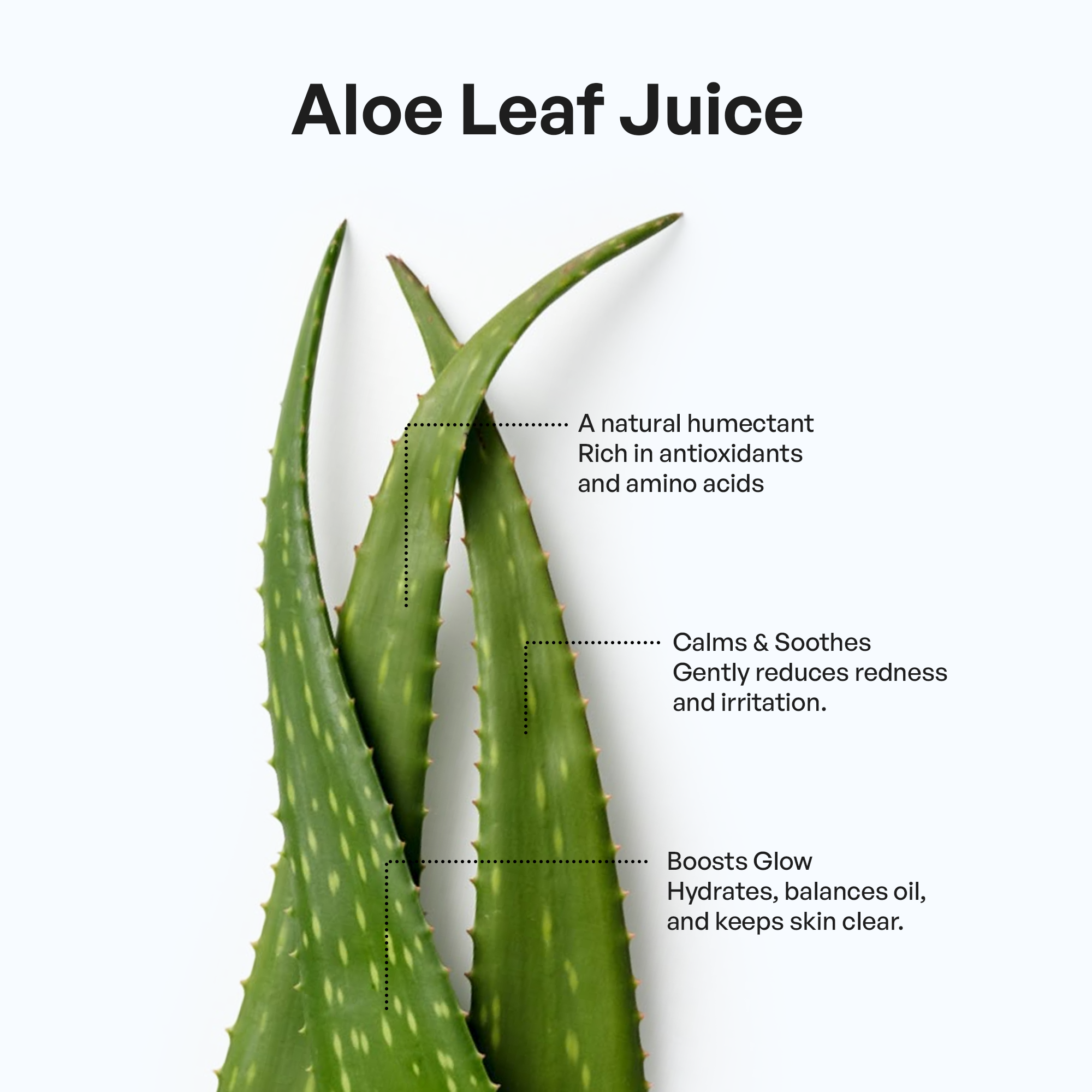 Moisturizing Foaming Oil Cleanser with aloe vera