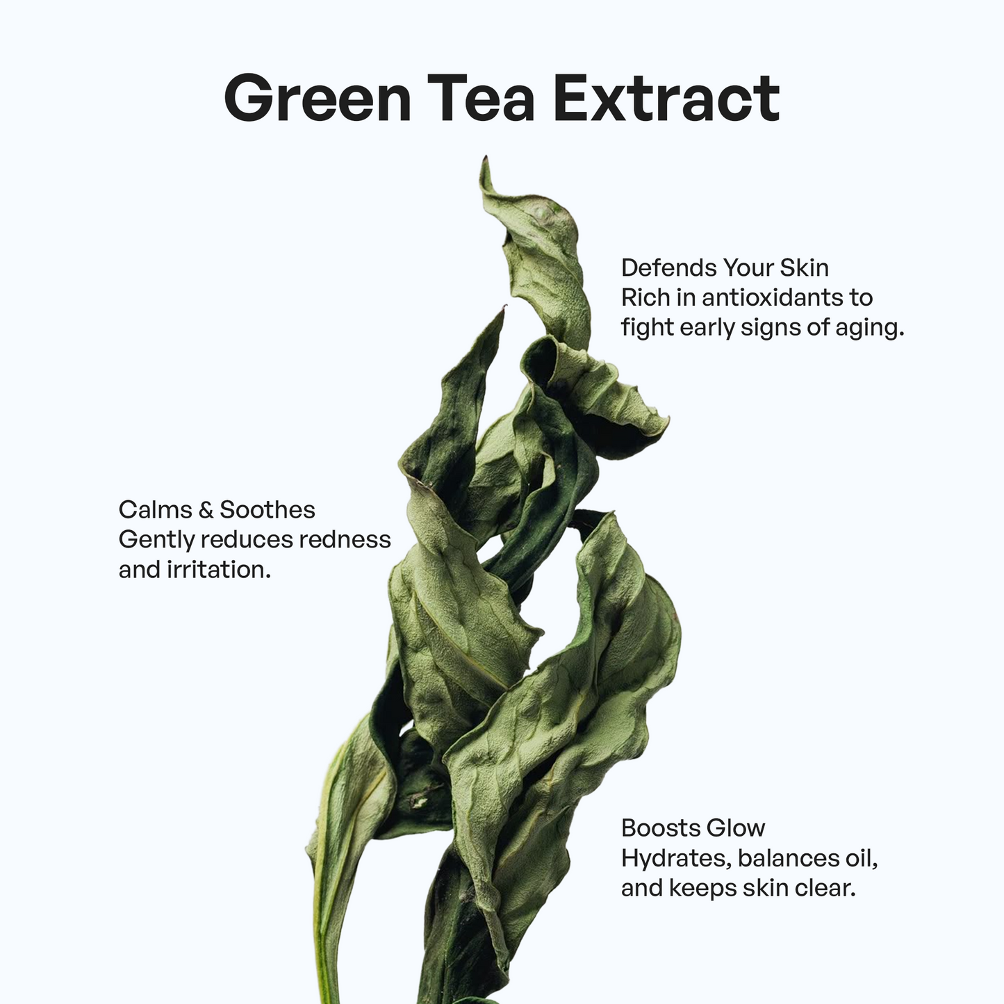 Green Tea Extract showcasing benefits like skin defense, hydration, and oil balance for skincare.